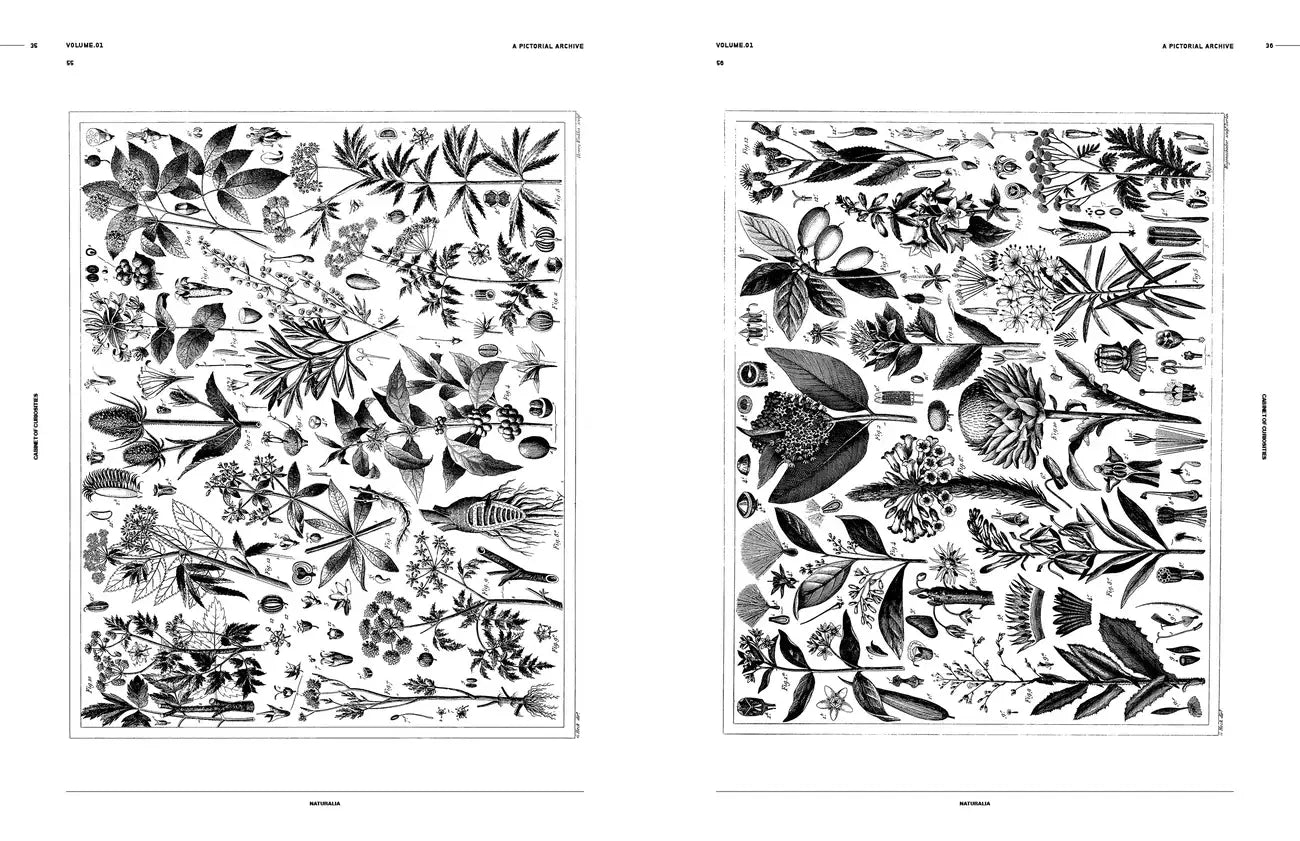 Cabinet of Curiosities: An Image Archive