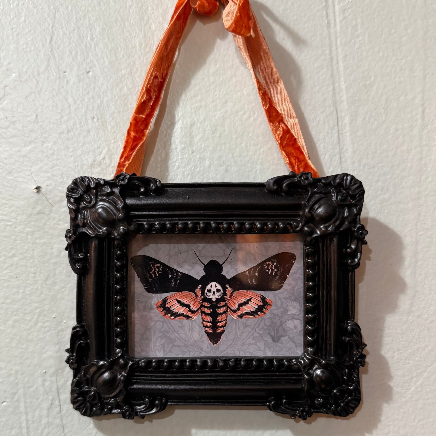 Death Head Moth { Tiffany Dow } Black Framed Giclee Print