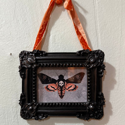 Death Head Moth { Tiffany Dow } Black Framed Giclee Print