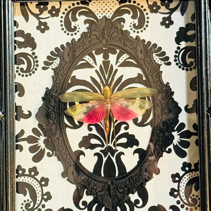LTD Pink & Green Grasshopper Black & White Flocked Damask Black Frame