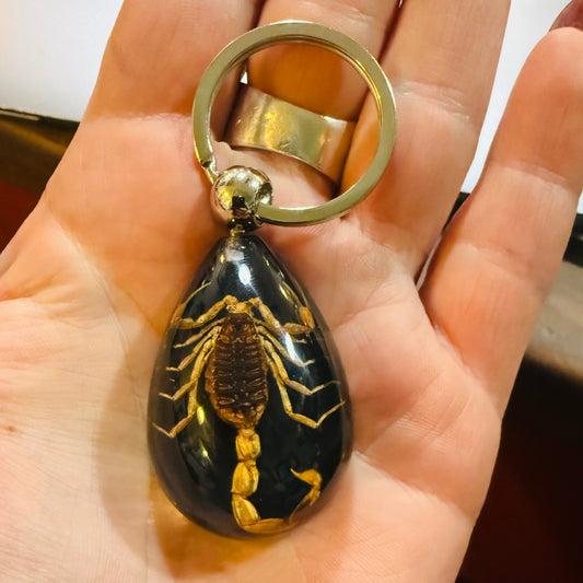 Scorpion on Black Drop Lucite Keychain