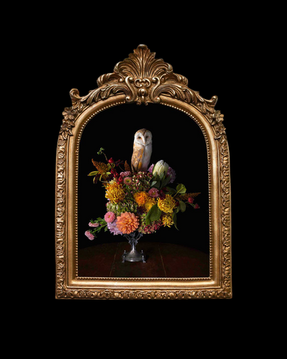 Phantasm - Baroque Inspired Frame Print