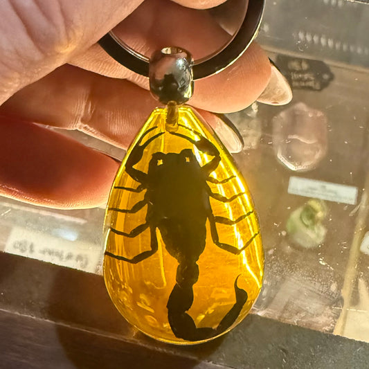 Black Scorpion Amber Color Lucite Keychain