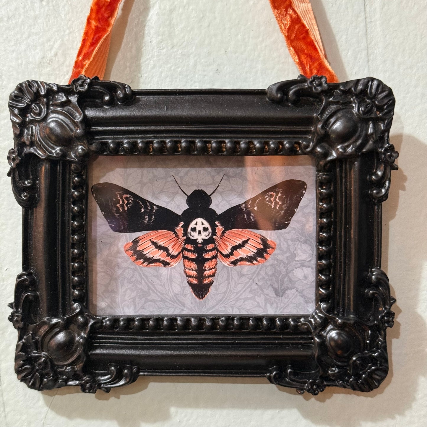 Death Head Moth { Tiffany Dow } Black Framed Giclee Print
