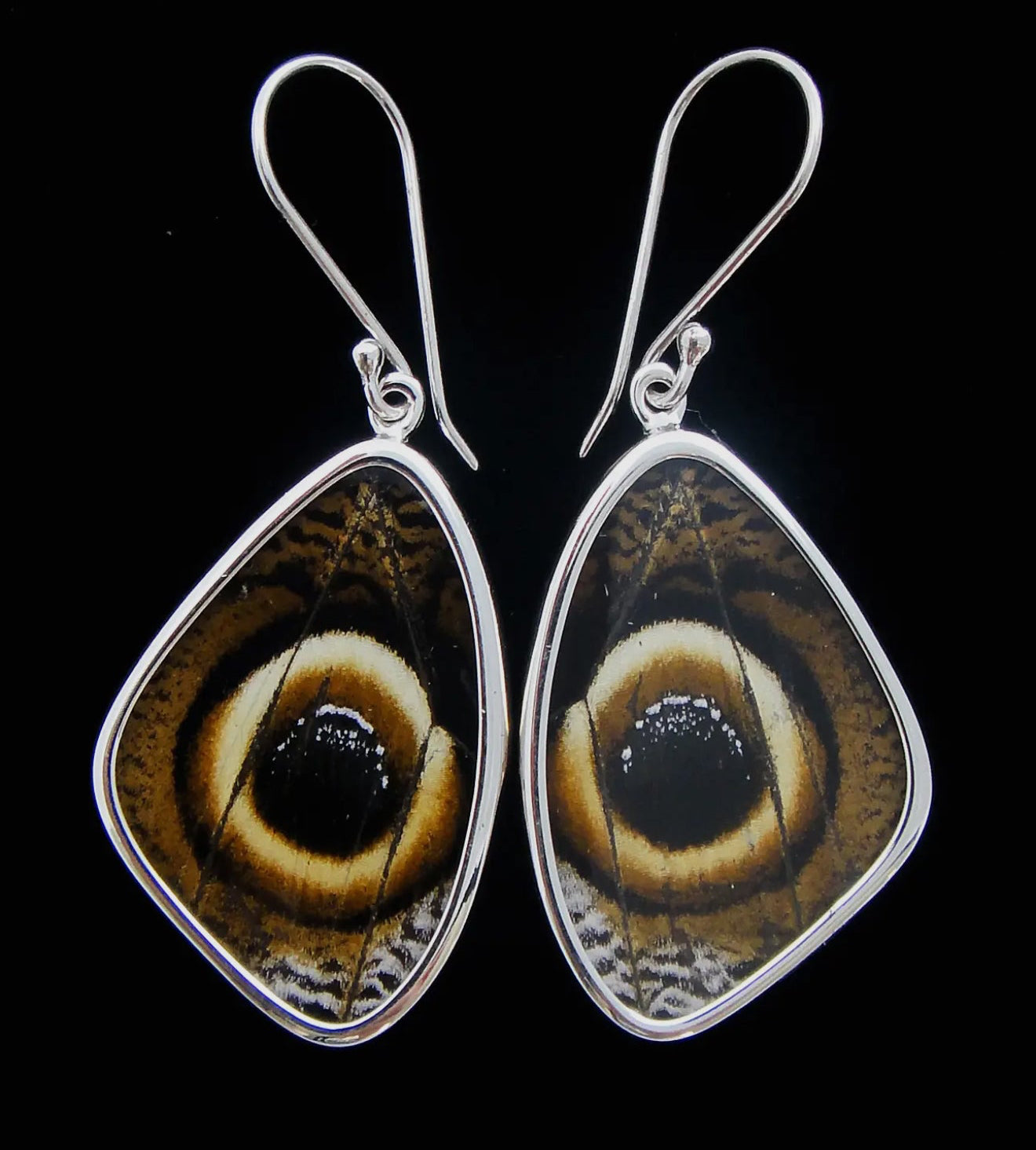 Owl Moth Wing Sterling Earrings