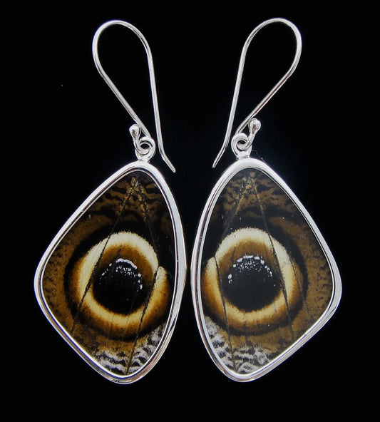 Owl Moth Wing Sterling Earrings