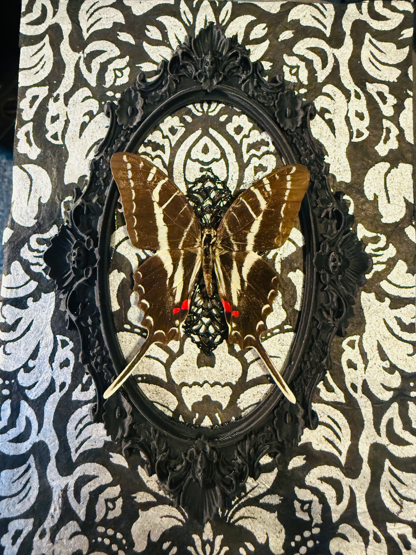 LTD Dark Zebra Swallowtail Shadowbox Art Silver Damask Background