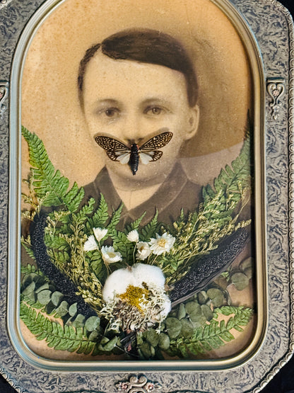Veiled Curiosities { Dorian } Cicada Marbled Convex Glass Frame