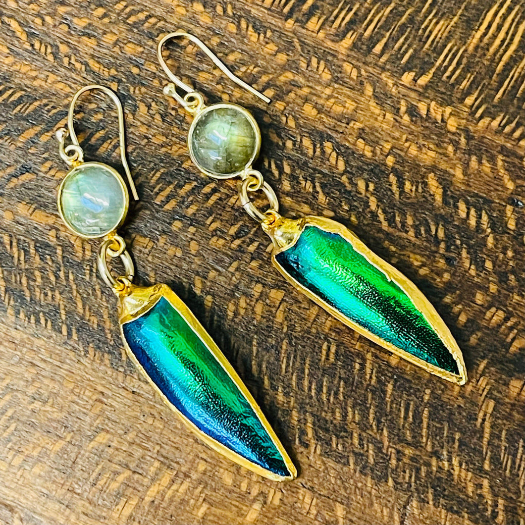 Beetle Elytra Labradorite Gold Filled Earrings