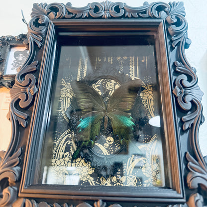 LTD Peacock Swallowtail Butterfly Shadowbox Art Gold Deco Background