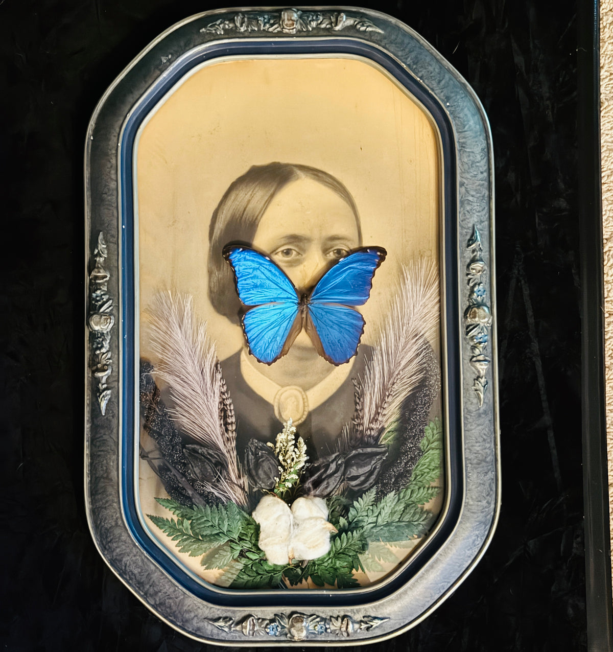 Veiled Curiosities { Theodora } Blue Morpho Silver Blue Convex Frame