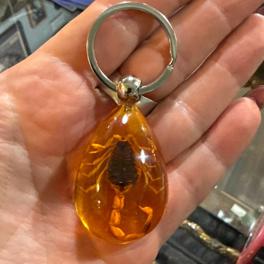 Scorpion on Amber Colored Drop Lucite Keychain