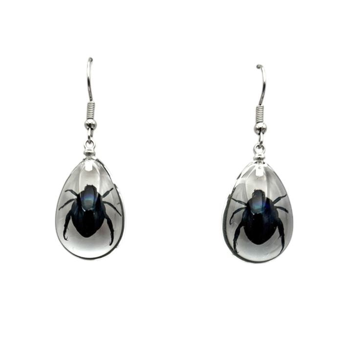 Shining Leaf Beetle Lucite Earrings