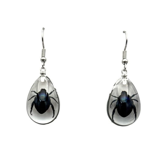 Shining Leaf Beetle Lucite Earrings