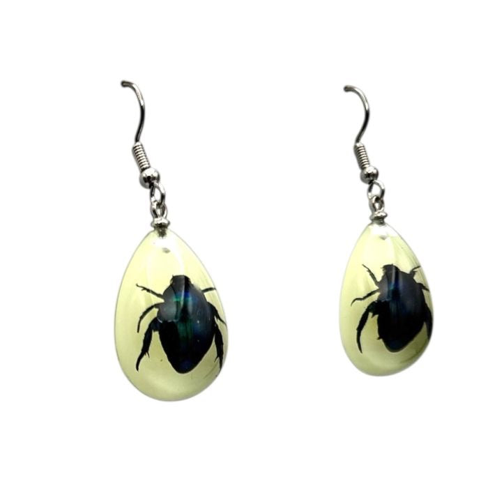 Shining Leaf Beetle Lucite Earrings Glow In The Dark