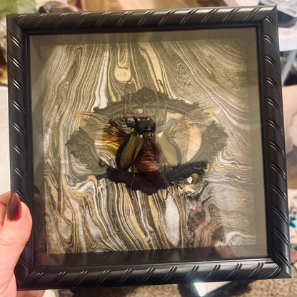 LTD Rhinoceros Beetle Wings Spread Shadowbox Art Gold, Silver Black Background