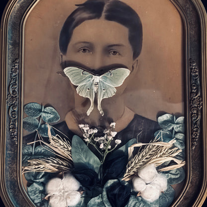 Veiled Curiosities { Adelaide } Gold Floral Frame Luna Moth