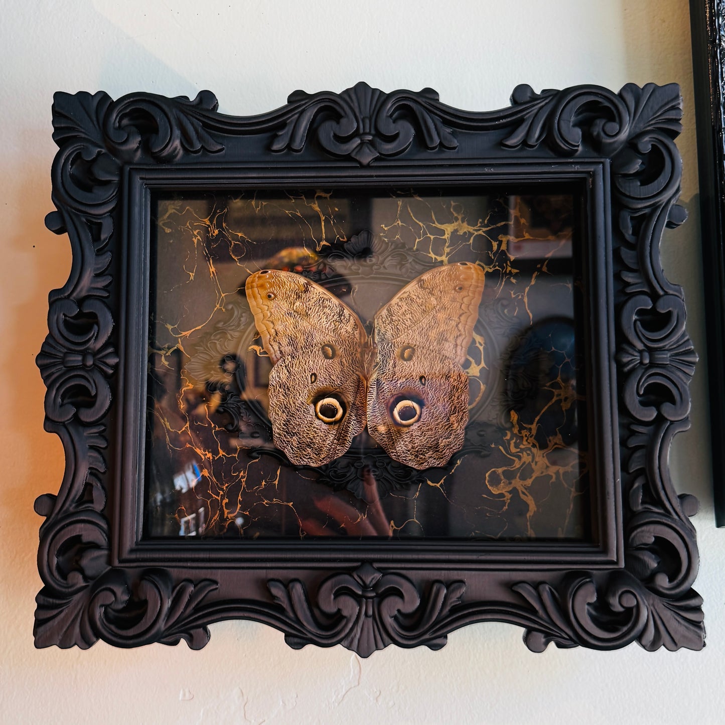 LTD Owl Moth Gold Marble Black Frame