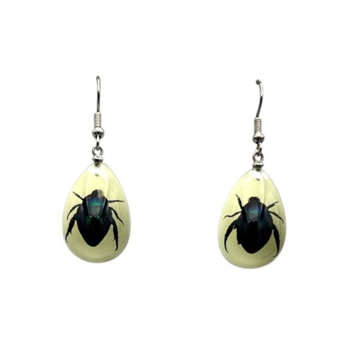 Shining Leaf Beetle Lucite Earrings Glow In The Dark