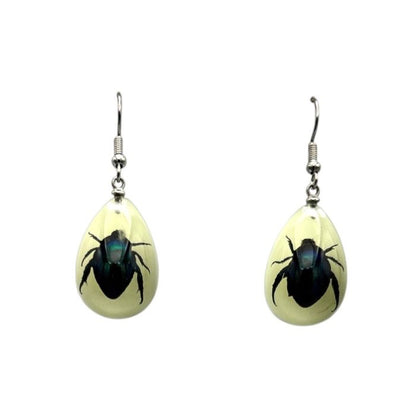 Shining Leaf Beetle Lucite Earrings Glow In The Dark