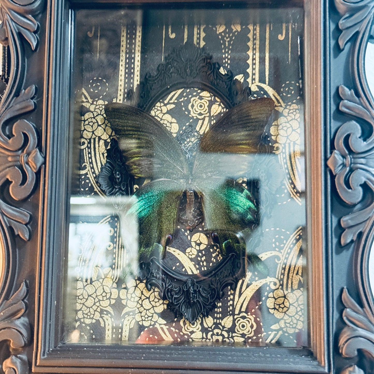 LTD Peacock Swallowtail Butterfly Shadowbox Art Gold Deco Background