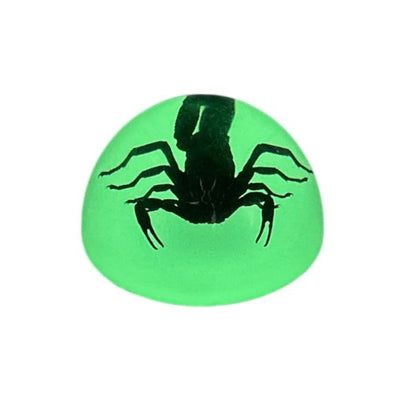 Scorpion or Spider in Half Dome Lucite Glow In Dark