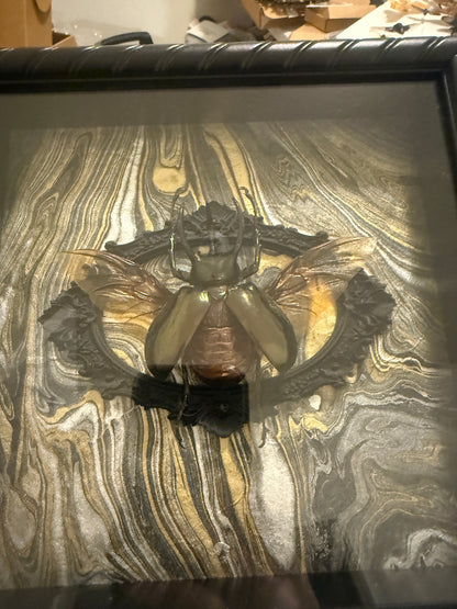 LTD Rhinoceros Beetle Wings Spread Shadowbox Art Gold, Silver Black Background