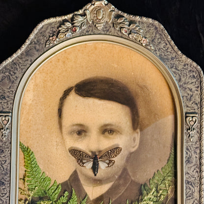 Veiled Curiosities { Dorian } Cicada Marbled Convex Glass Frame