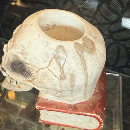 Antique 1930’s Bisque Skull on Book Nodder Candleholder