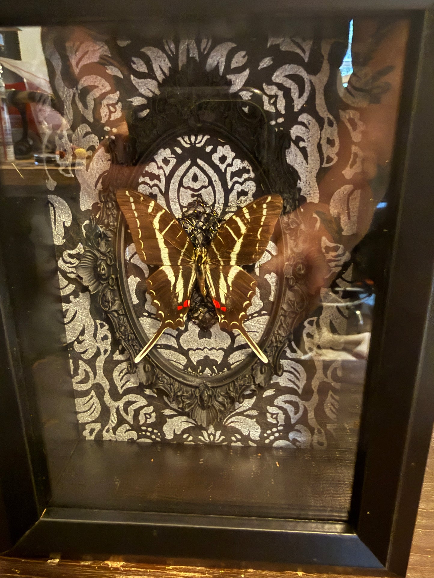 LTD Dark Zebra Swallowtail Shadowbox Art Silver Damask Background