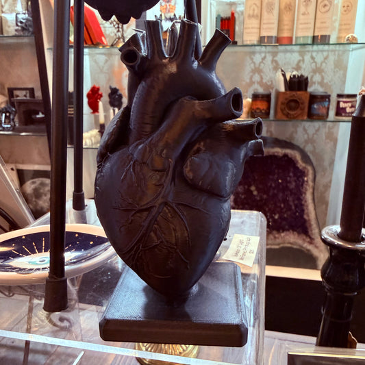 Black Anatomical Heart 3D Art