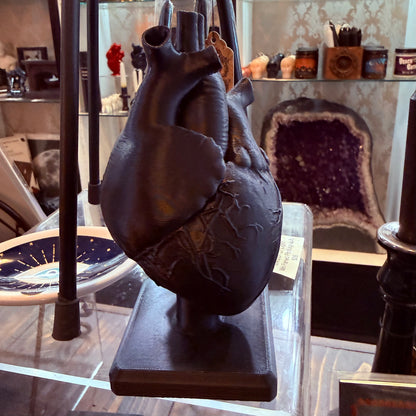 Black Anatomical Heart 3D Art