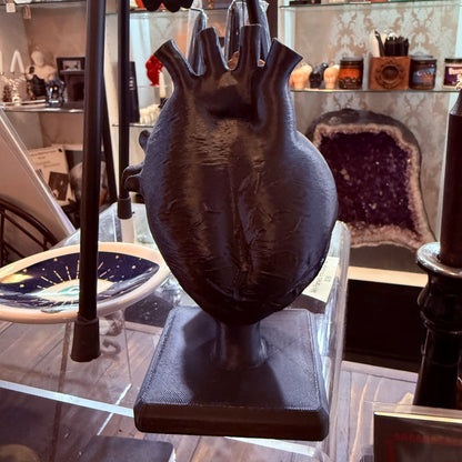 Black Anatomical Heart 3D Art