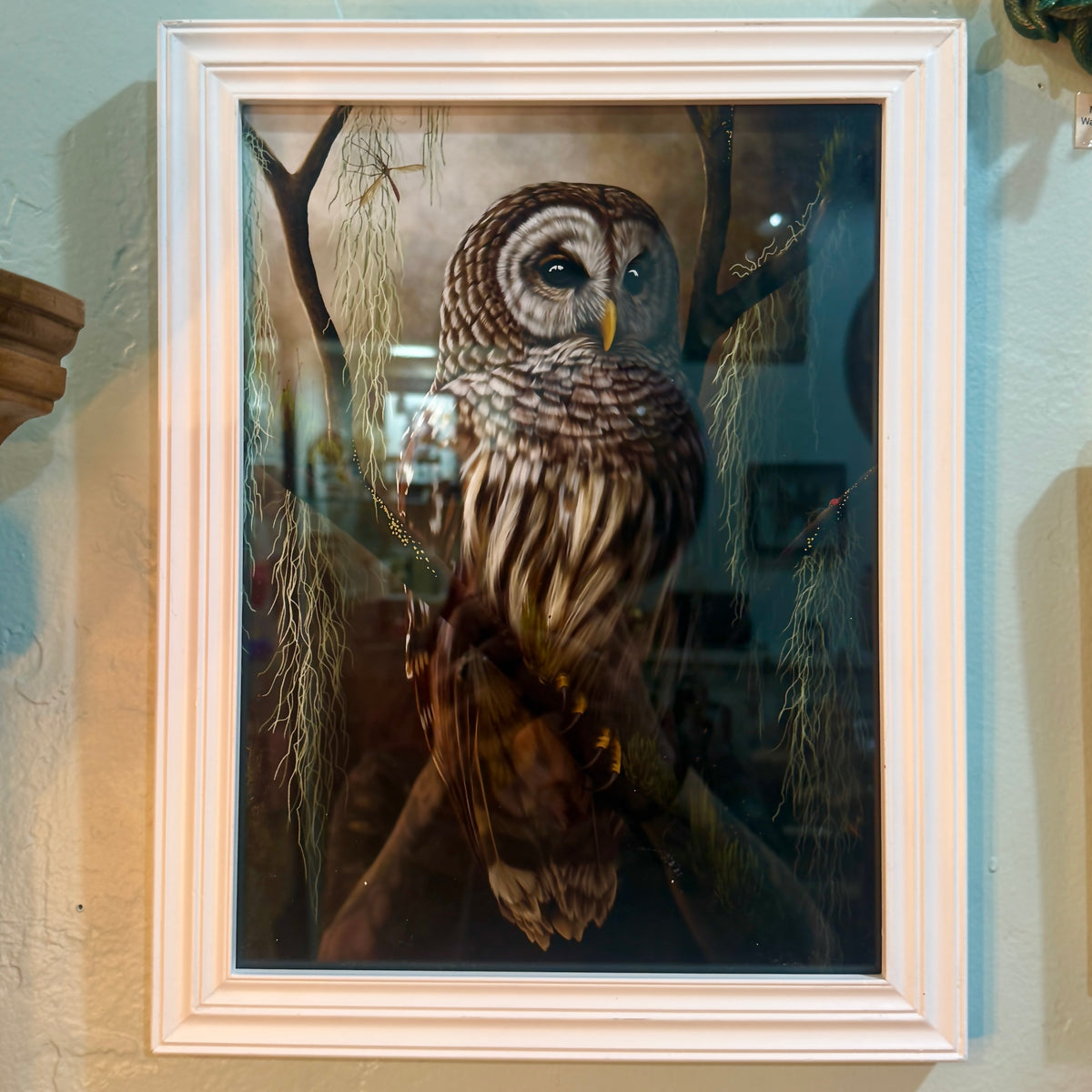 Bird Hag { Barred Owl & Moss } Fine Art Print Framed 9" x 13"