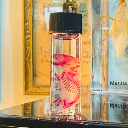 Diaphonized Pinky Mouse Specimen