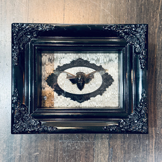 LTD Batwing Cicada Shadowbox Art Victorian Swirl Background