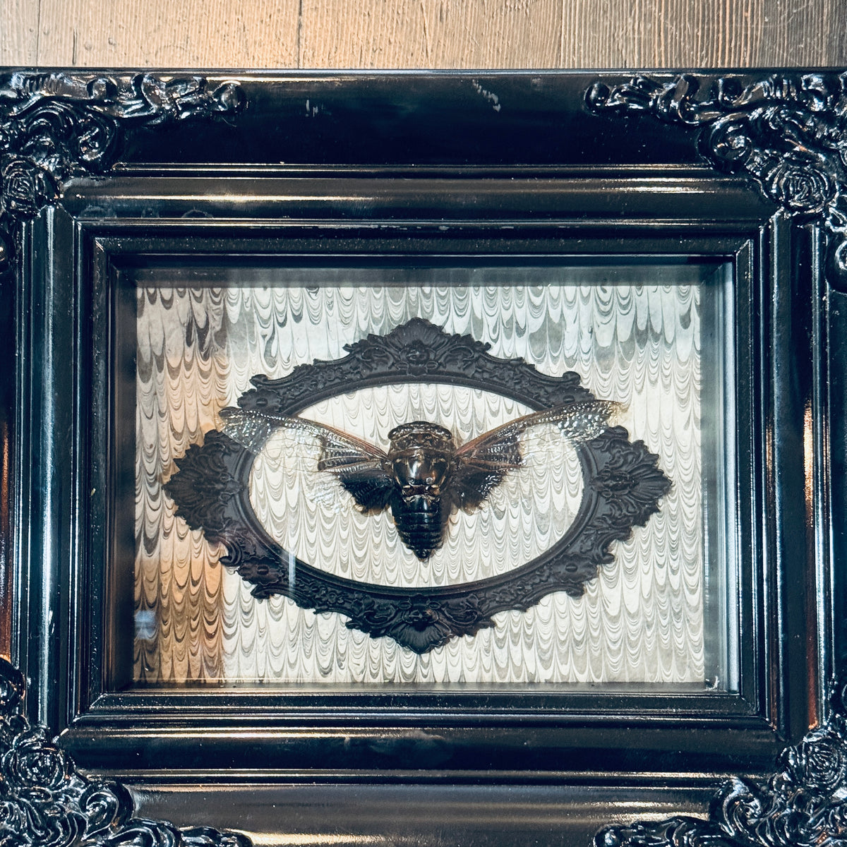 LTD Batwing Cicada Shadowbox Art Victorian Swirl Background