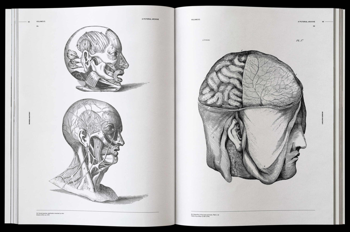 Morbid Anatomy, an Image Archive for Artists and Designers