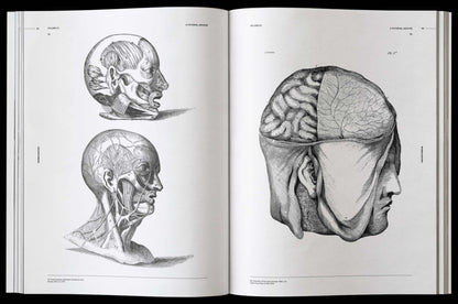 Morbid Anatomy, an Image Archive for Artists and Designers