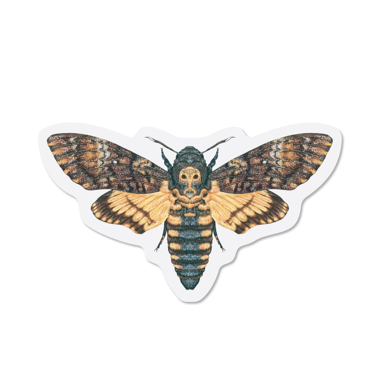 Death's-head Hawkmoth Sticker