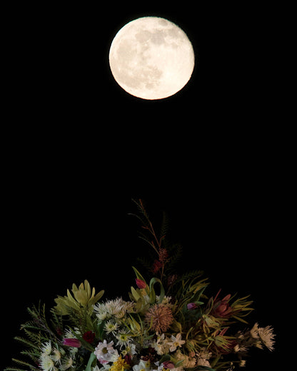 'Egredior' - Fine Art Print