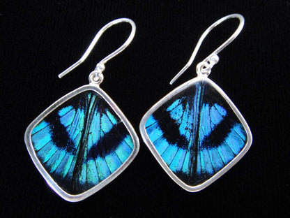 "Blue Flash" Butterfly Diamond Sterling Earrings