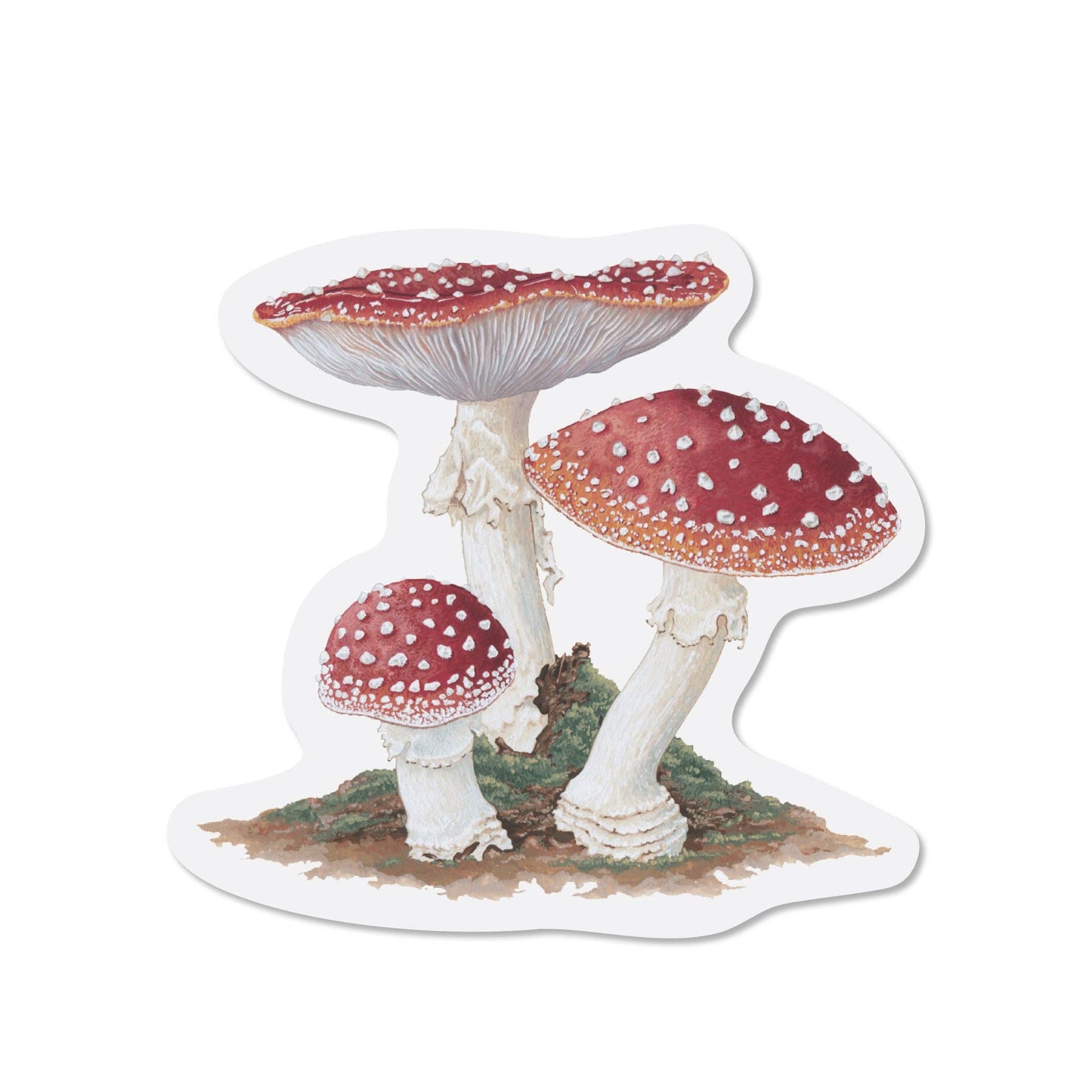 Amanita Muscaria Sticker