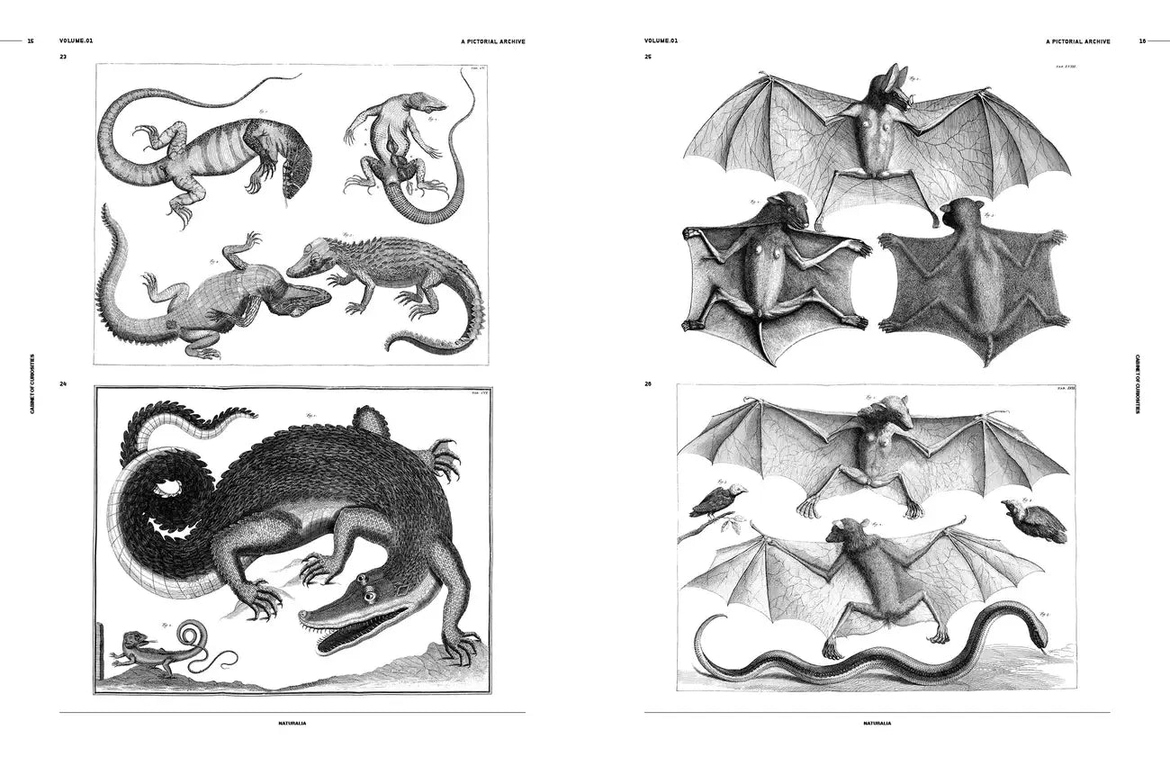 Cabinet of Curiosities: An Image Archive