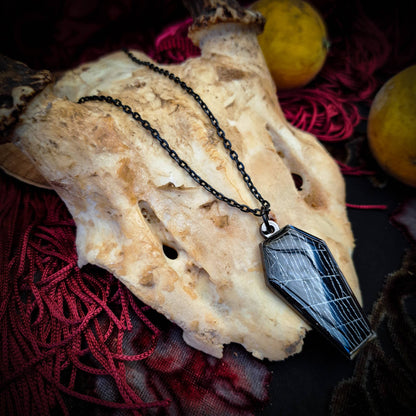 Real Spiderweb Coffin Black Necklace