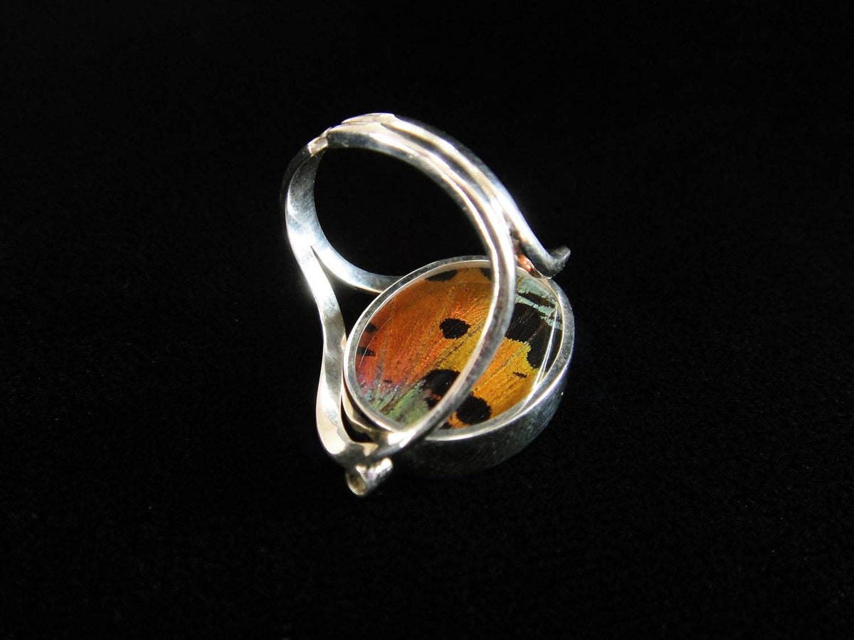 Sterling Reversible Blue Morpho/Sunset Oval Ring (adjustable)