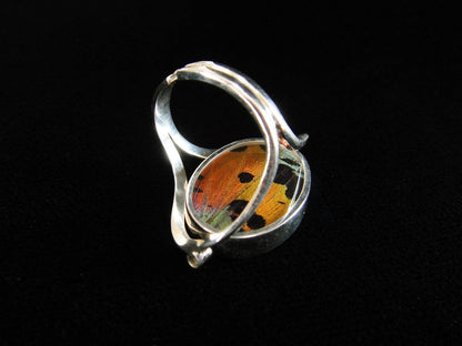 Sterling Reversible Blue Morpho/Sunset Oval Ring (adjustable)