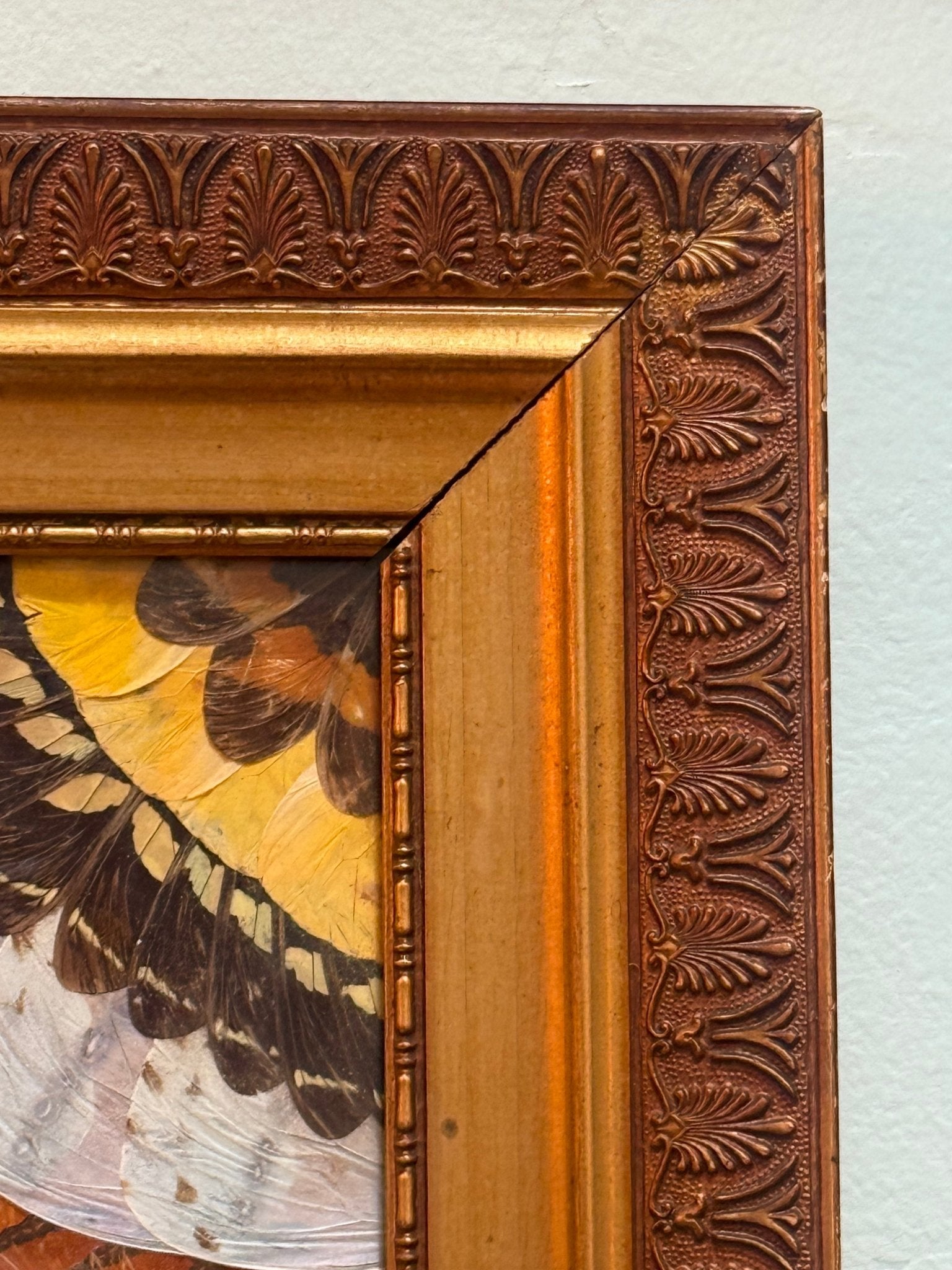 Antique Early 1900’s Last Supper Butterfly Wing Art Carved Wood Frame - Loved To Death