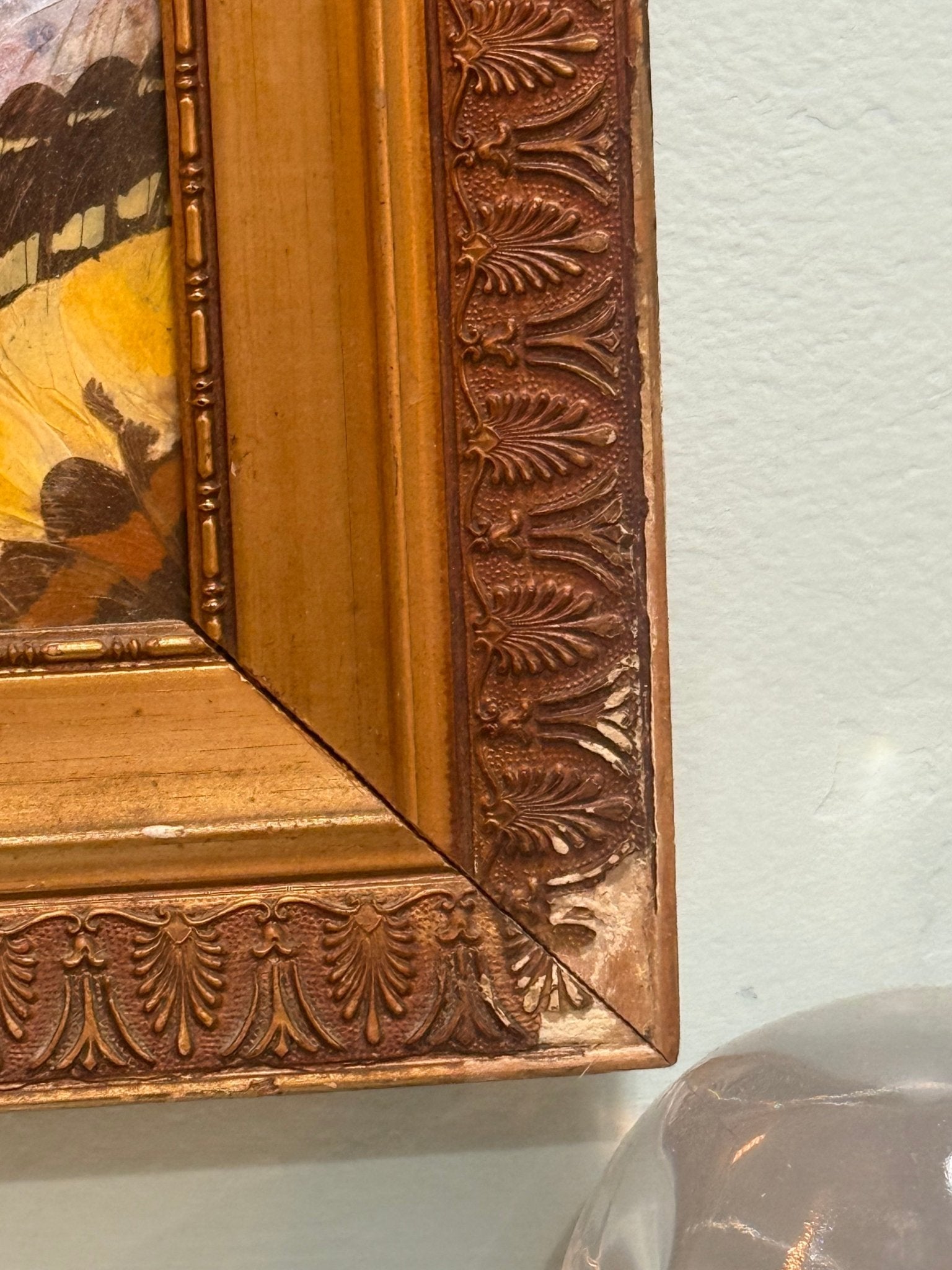 Antique Early 1900’s Last Supper Butterfly Wing Art Carved Wood Frame - Loved To Death