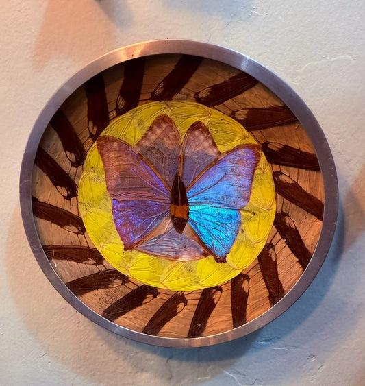 Antique Round 6” Blue Morpho Butterfly Wing Art - Loved To Death